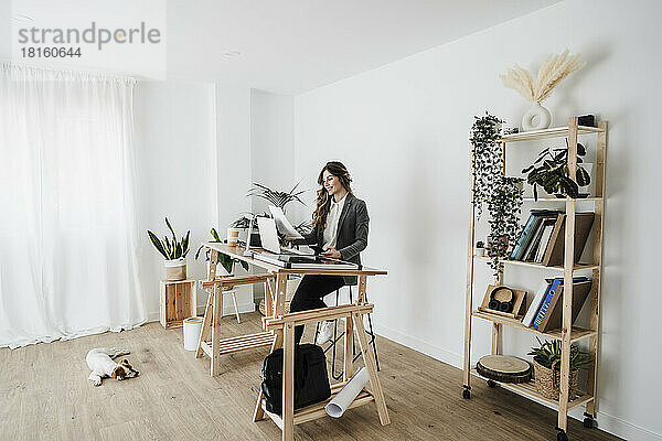 Junge Geschäftsfrau arbeitet in einem modernen Büro mit Hund auf dem Boden