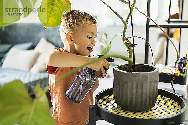 Cute boy sticking out tongue and watering potted plant at home
