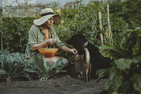 Frau füttert Hund und Katze im Garten mit grünen Erbsen