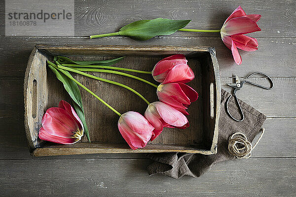 Rosa blühende Don-Quichotte-Tulpen liegen auf einem Holztablett