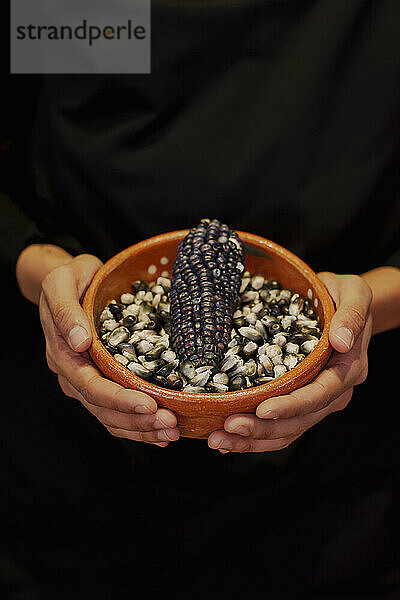 Hands of person holding bowl of black Mexican corn grains