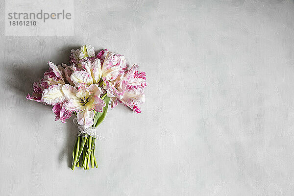 Bouquet of pink blooming Silver Parrot tulips lying against white background