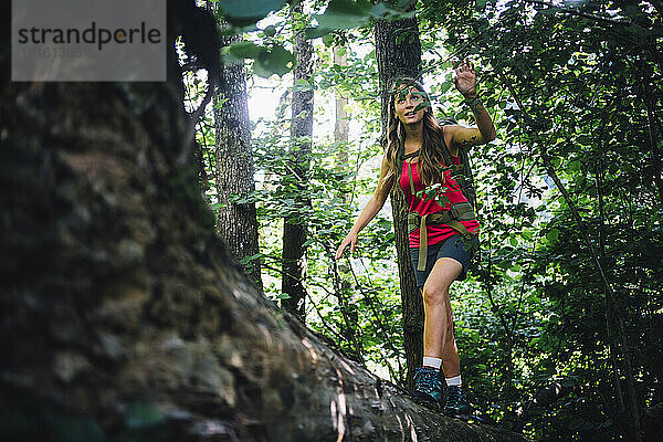 Neugieriger Wanderer erkundet den Wald und geht auf einem umgestürzten Baum spazieren