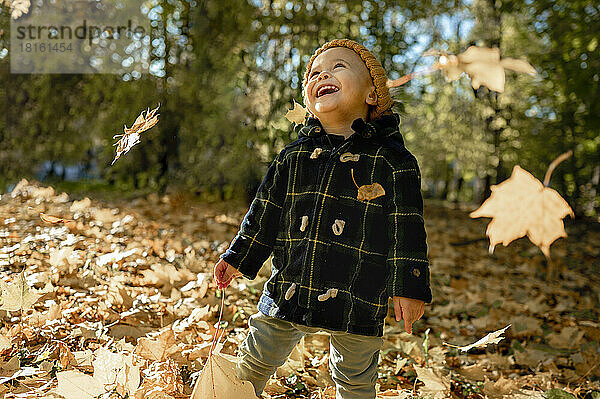 Junge hält Ahornblatt und lacht im Park