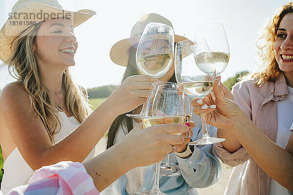 Fröhliche Freunde stoßen an einem sonnigen Tag im Weingut auf Wein an
