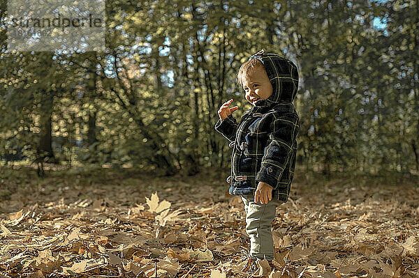 Junge mit Kapuzenjacke steht im Park