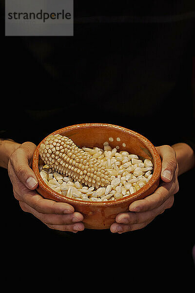 Hands of person holding bowl of corn grains