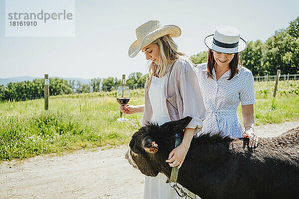 Freunde mit Weinglas streicheln Esel im Weingut