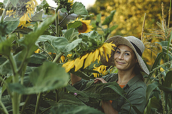 Lächelnde Frau  die im Garten mit Sonnenblumen arbeitet