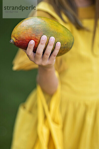 Hands of girl holding fresh mango fruit