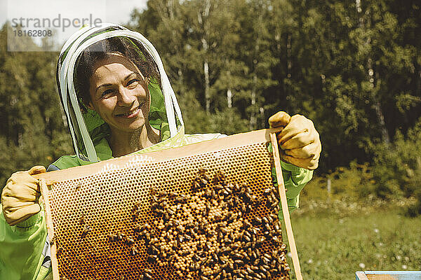 Lächelnder Imker hält Bienenstock an sonnigem Tag