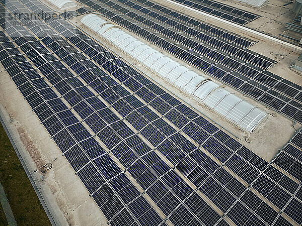Sonnenkollektoren im Kraftwerk