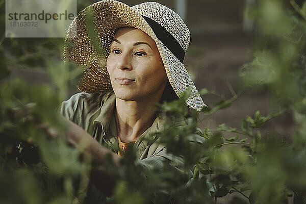 Frau mit Hut arbeitet im Gemüsegarten