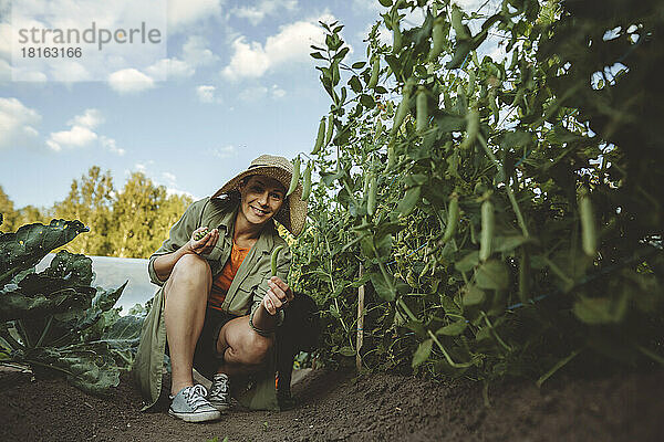 Lächelnde Frau mit grünen Erbsen im Garten