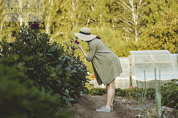 Reife Frau riecht Blumen im Garten