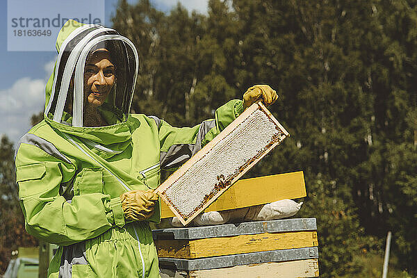 Lächelnder Imker hält Bienenstock an sonnigem Tag