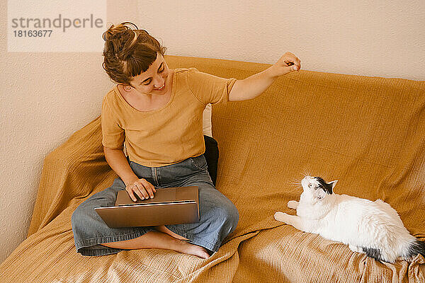 Lächelnder Freiberufler mit Laptop  der mit einer Katze spielt  die zu Hause auf dem Sofa sitzt