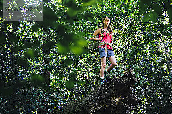 Frau steht auf umgestürztem Baum im Wald