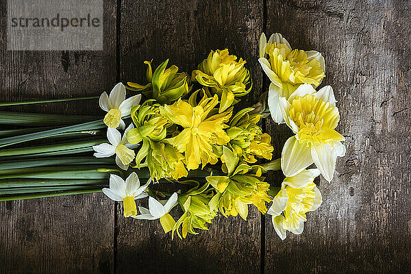 Studio shot of blooming daffodils lying on wooden surface