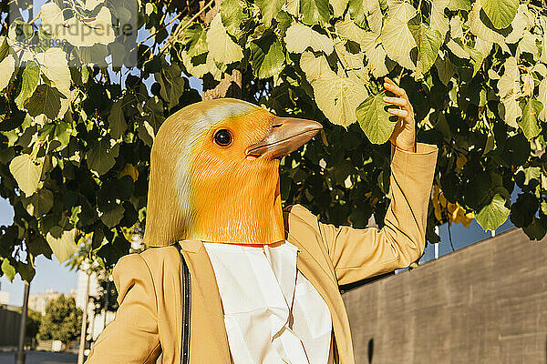 Freiberufler mit Vogelmaske berührt Blatt an sonnigem Tag