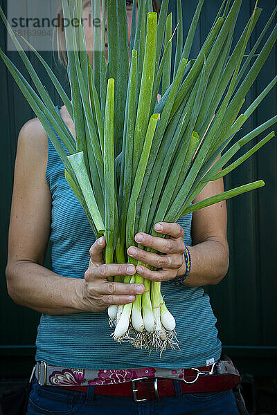Frau hält frisch geerntete Frühlingszwiebeln (Allium fistulosum)