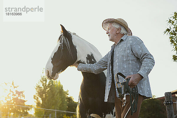 Älterer Mann streichelt Pferd auf dem Bauernhof