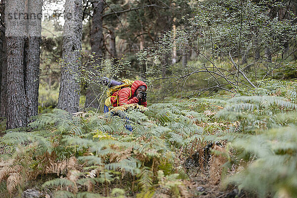 Frau fotografiert Pflanzen mit Kamera im Wald