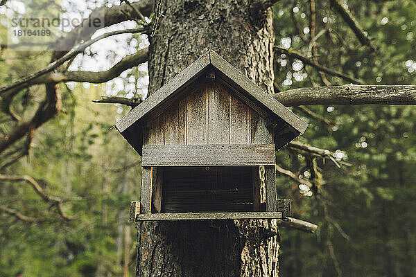 Wooden birdhouse hanging on tree trunk