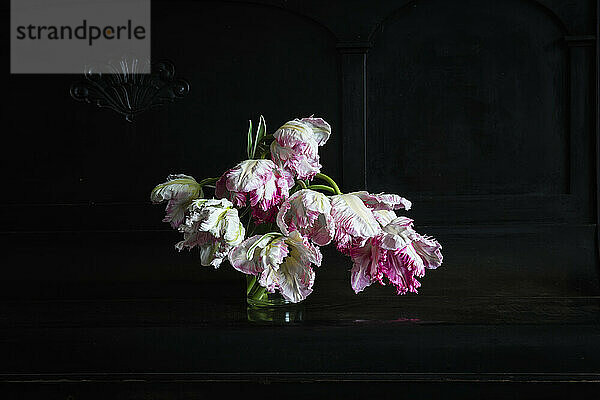 Vase mit rosa blühenden Silver Parrot-Tulpen  die auf einem Klavier stehen