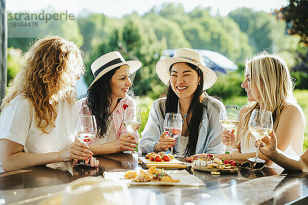 Fröhliche Freunde reden und genießen Wein im Weingut