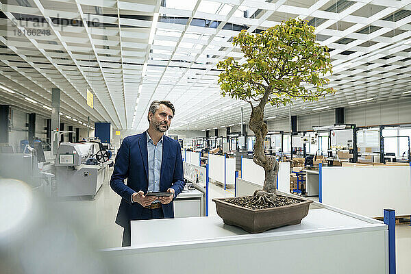 Reifer Geschäftsmann mit Tablet-PC untersucht Bonsai-Baum in der Industrie