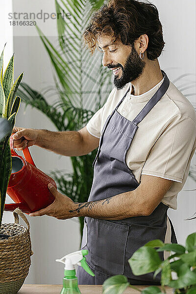 Glücklicher Mann gießt Pflanze aus der Dose im Pflanzenladen