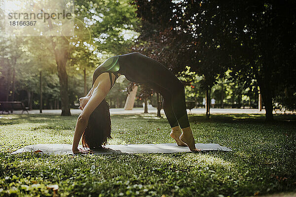 Yogalehrer übt Bridge-Pose im Park