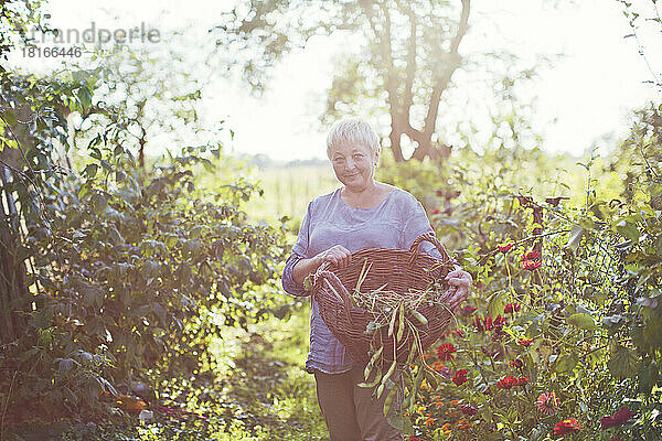 Lächelnde reife Frau mit Korb  die inmitten von Pflanzen steht