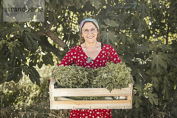 Glückliche Frau hält eine Kiste Rucola auf dem Bauernhof