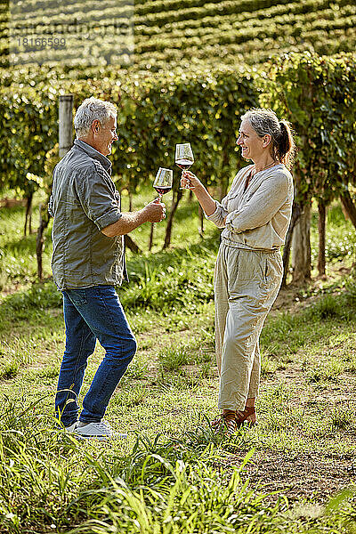 Lächelnder Mann und Frau  die Weingläser im Weinberg anstoßen