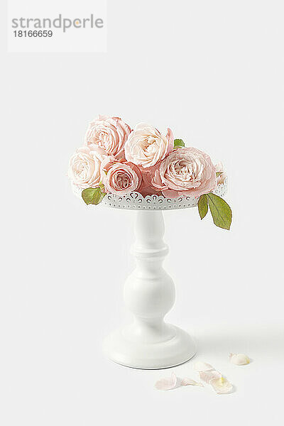Rosa Rosen auf dekorativem Kuchenständer vor weißem Hintergrund