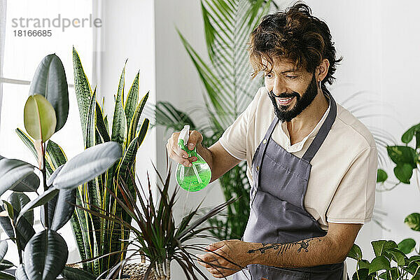 Glücklicher Mann sprüht Wasser auf Pflanze im Geschäft