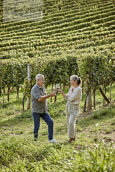 Älteres Paar prostet an einem sonnigen Tag Weingläser im Weinberg an