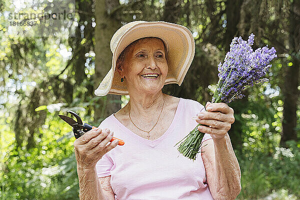 Lächelnde ältere Frau mit Lavendelblüten und Gartenschere im Garten