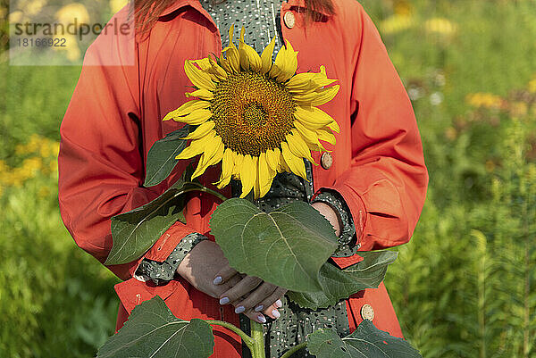 Frau hält Sonnenblume im Garten