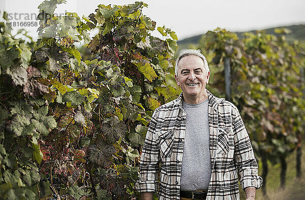 Glücklicher Bauer im karierten Hemd steht neben der Weinpflanze