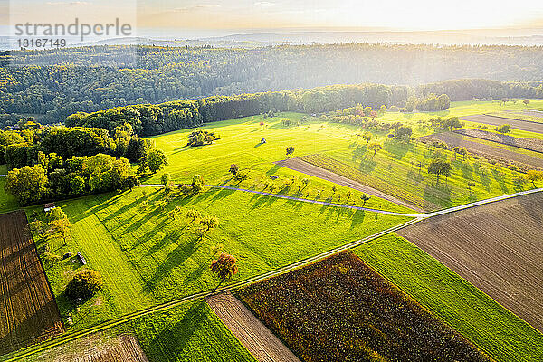 Deutschland  Baden-Württemberg  Drohnenaufnahme von Herbstfeldern im Remstal bei Sonnenaufgang