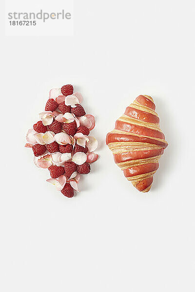Fresh croissant by raspberries and rose petals shaped as similar over white background