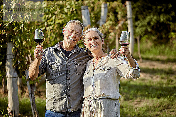 Glückliches älteres Paar mit Weingläsern an einem sonnigen Tag