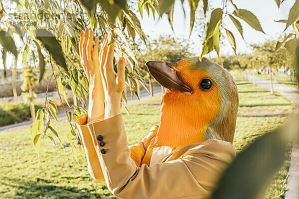 Freiberufler mit Vogelmaske berührt an sonnigem Tag Blatt im Park
