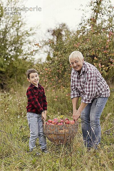 Glückliche Großmutter mit Enkel  der einen Korb voller Äpfel auf dem Bauernhof hält