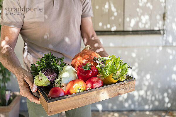 Reifer Mann hält Gemüse in Holzkiste im Hinterhof