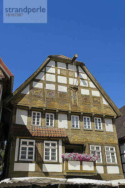 Deutschland  Nordrhein-Westfalen  Bad Salzuflen  Fassade eines historischen Fachwerkhauses