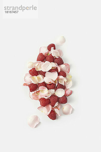 Red raspberries and rose petals shaped as croissant against white background